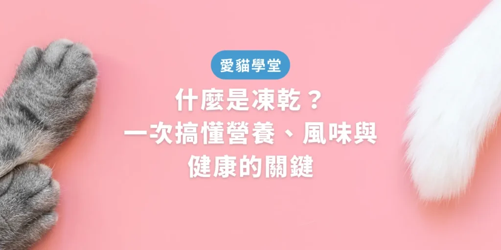 什麼是凍乾？一次搞懂營養、風味與健康的關鍵