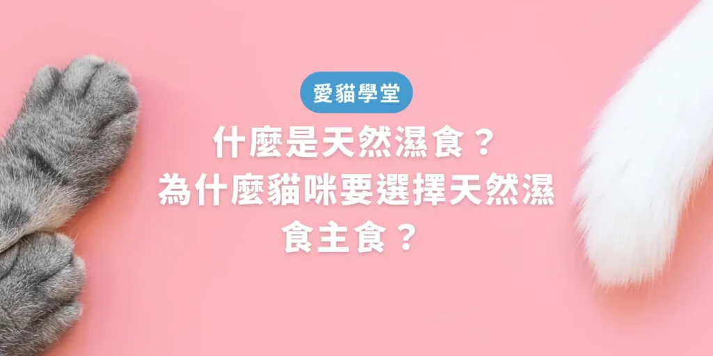 什麼是天然濕食？為什麼貓咪要選擇天然濕食主食？