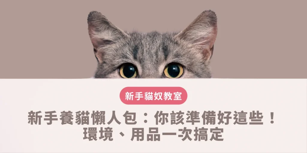 新手養貓懶人包：你該準備好這些！環境、用品