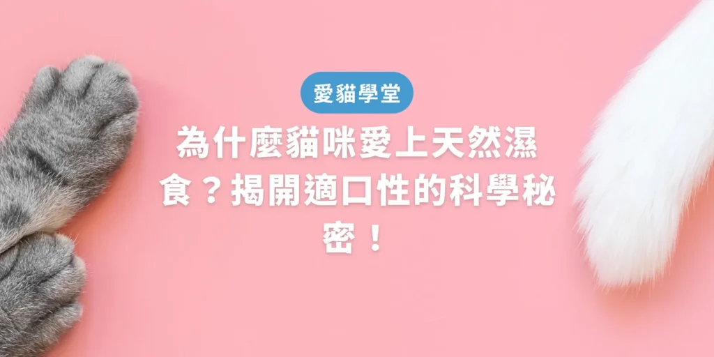 為什麼貓咪愛上天然濕食？揭開適口性的科學秘密！