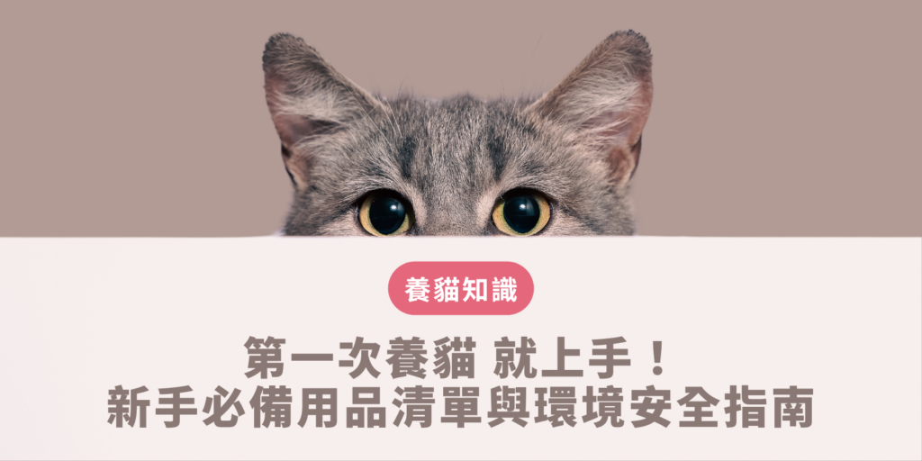 第一次養貓 的必備用品準備指南