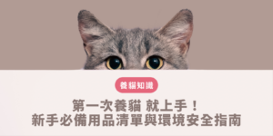 第一次養貓 的必備用品準備指南