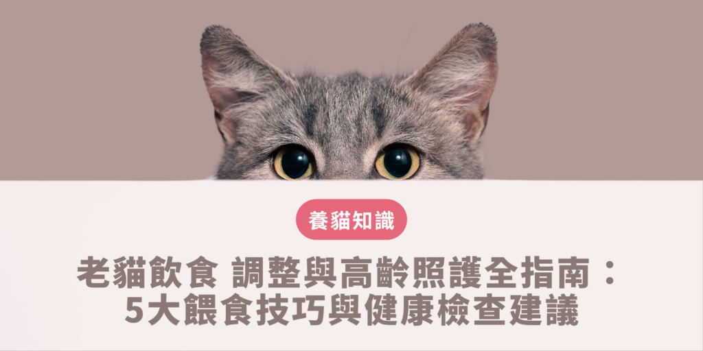 飼主依據高齡貓消化機能退化與預防腎臟病需求調配低磷高水分的老貓飲食