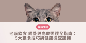 飼主依據高齡貓消化機能退化與預防腎臟病需求調配低磷高水分的老貓飲食