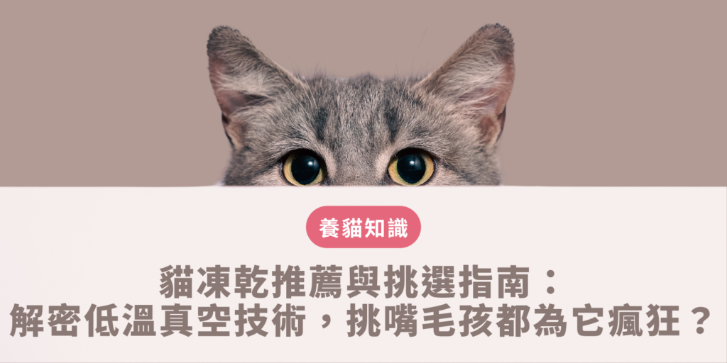 依據專性肉食動物感官生物學挑選成分單純且無化學添加的優質冷凍乾燥肉塊