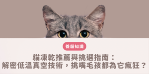 依據專性肉食動物感官生物學挑選成分單純且無化學添加的優質冷凍乾燥肉塊