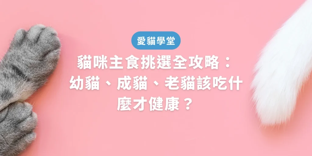 貓咪主食挑選全攻略：幼貓、成貓、老貓該吃什麼才健康？