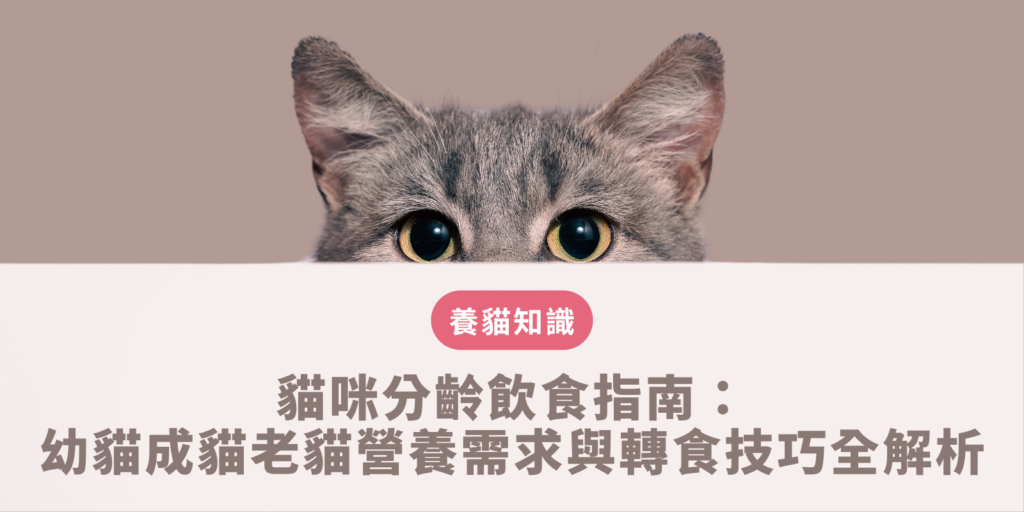飼主依據幼貓成貓老貓不同成長生命階段的營養需求規劃符合AAFCO標準的科學貓咪分齡飲食
