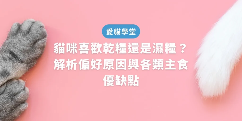 貓咪喜歡乾糧還是濕糧？解析偏好原因與各類主食優缺點