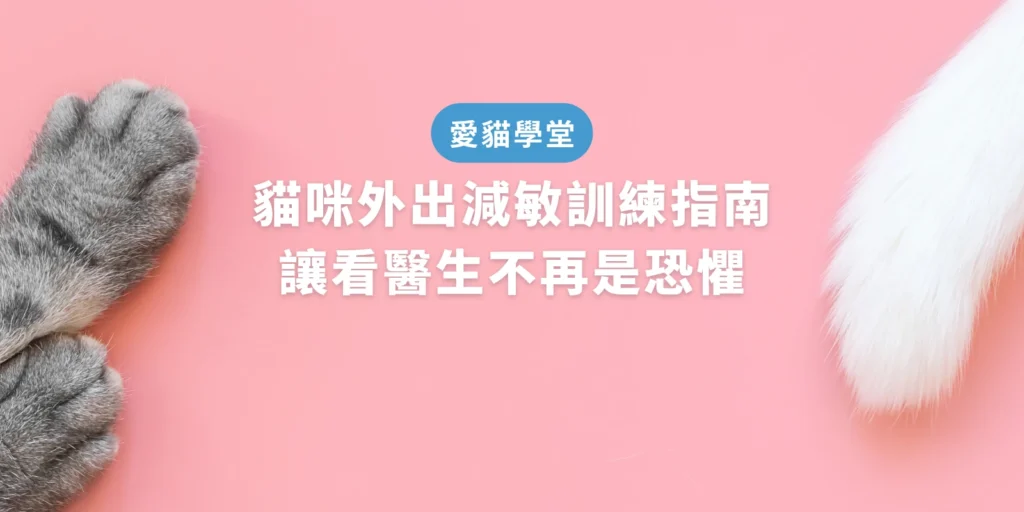 貓咪外出減敏訓練指南：讓看醫生不再是恐懼