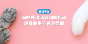 貓咪外出減敏訓練指南：讓看醫生不再是恐懼
