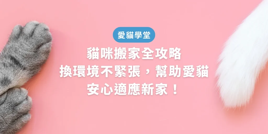 貓咪搬家全攻略：換環境不緊張，幫助愛貓安心適應新家！
