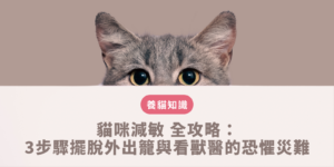 飼主運用肉泥與零食在家中對貓咪進行適應外出籠的貓咪減敏行為引導