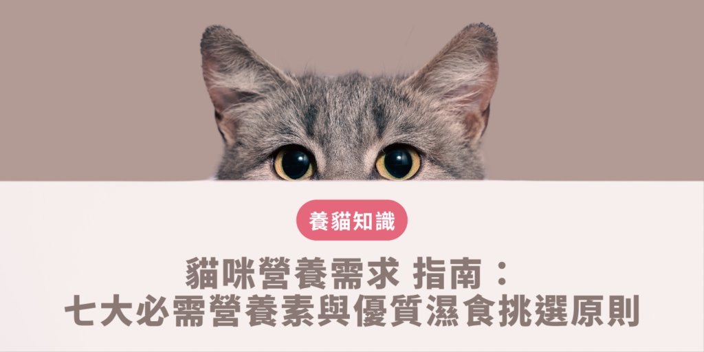 飼主對照成分表上的蛋白質與牛磺酸比例挑選符合貓咪營養需求的高品質原型肉濕食主食