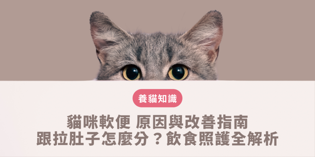 飼主透過布里斯托糞便分類法觀察貓咪軟便形態並記錄貓咪每日便便日記