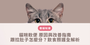 飼主透過布里斯托糞便分類法觀察貓咪軟便形態並記錄貓咪每日便便日記