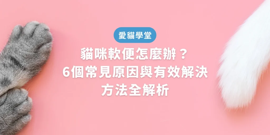 貓咪軟便怎麼辦？6個常見原因與有效解決方法全解析