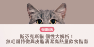 斯芬克斯貓