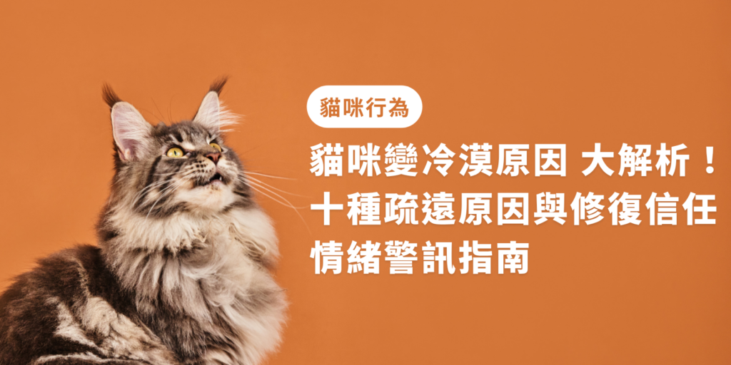 貓咪便冷漠原因