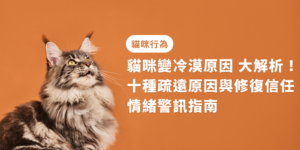 貓咪便冷漠原因