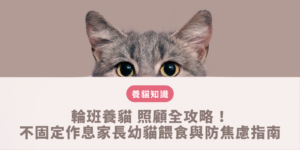 輪班養貓