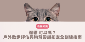 遛貓 可以嗎？