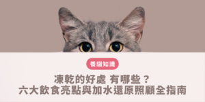 凍乾的好處