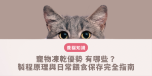 寵物凍乾優勢