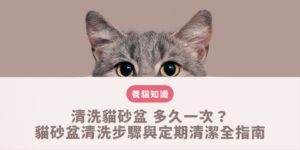 清洗貓砂盆