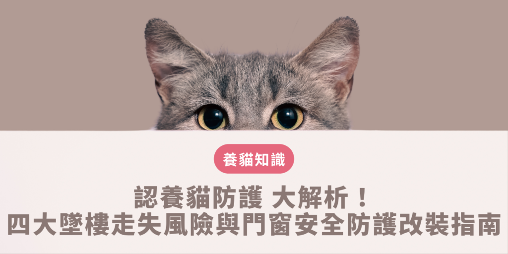 認養貓防護