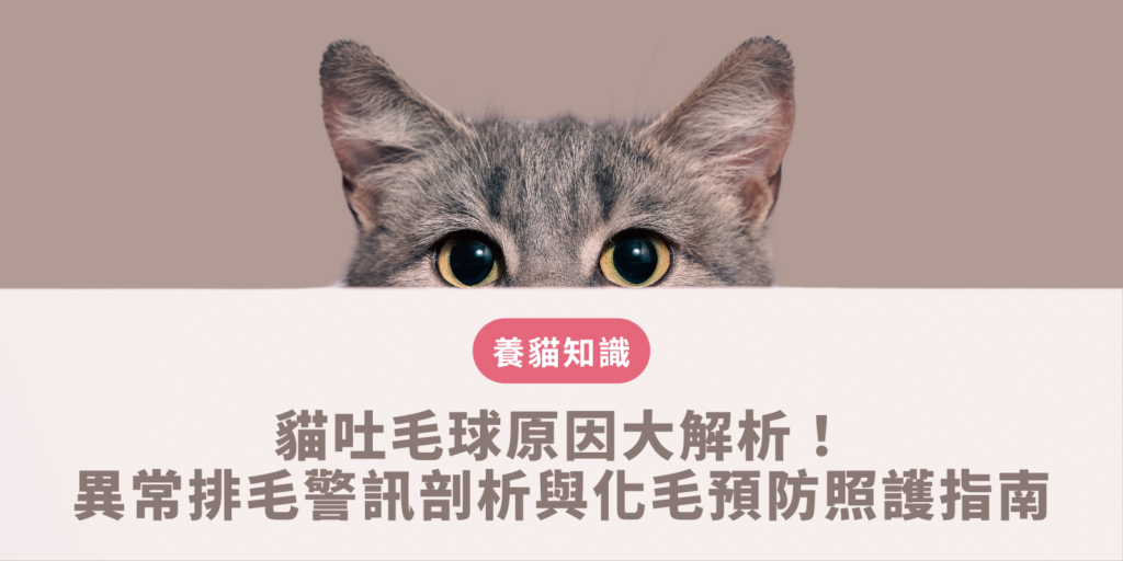 貓吐毛球原因
