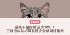 貓咪不給抱原因