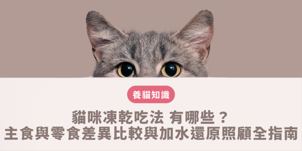 貓咪凍乾吃法