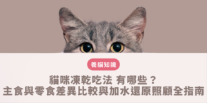 貓咪凍乾吃法