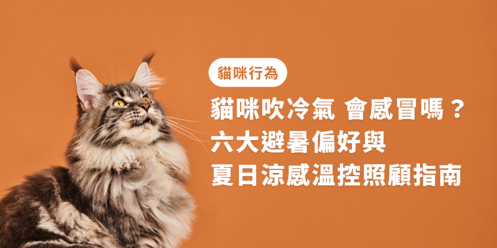 貓咪吹冷氣