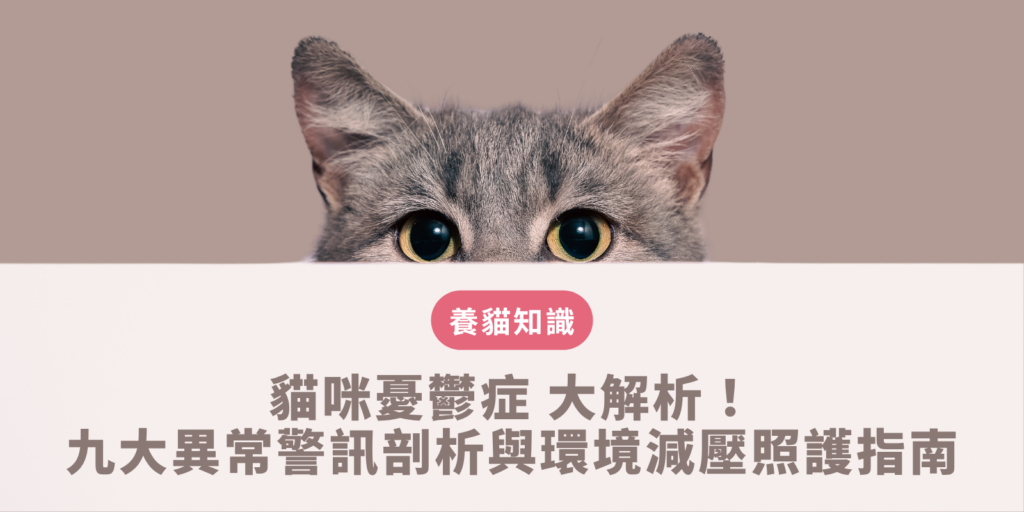 貓咪憂鬱症