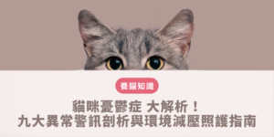 貓咪憂鬱症