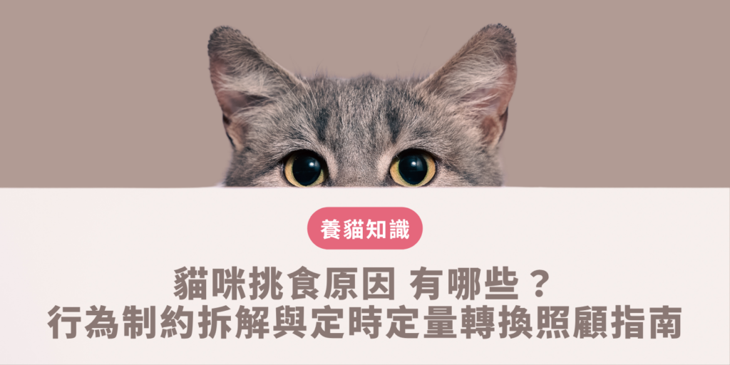 貓咪挑食原因