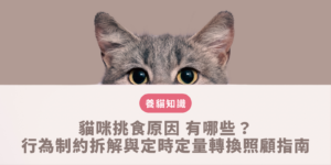 貓咪挑食原因
