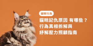貓咪記仇原因