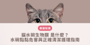 貓水碗生物膜 清潔護理指南
