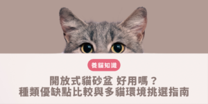 開放式貓砂盆