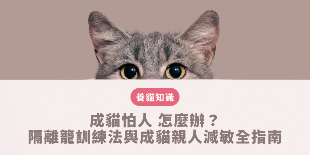 成貓怕人