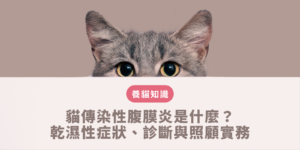 貓傳染性腹膜炎