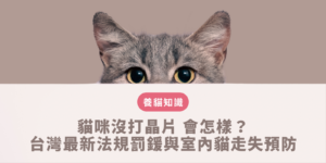 貓咪沒打晶片