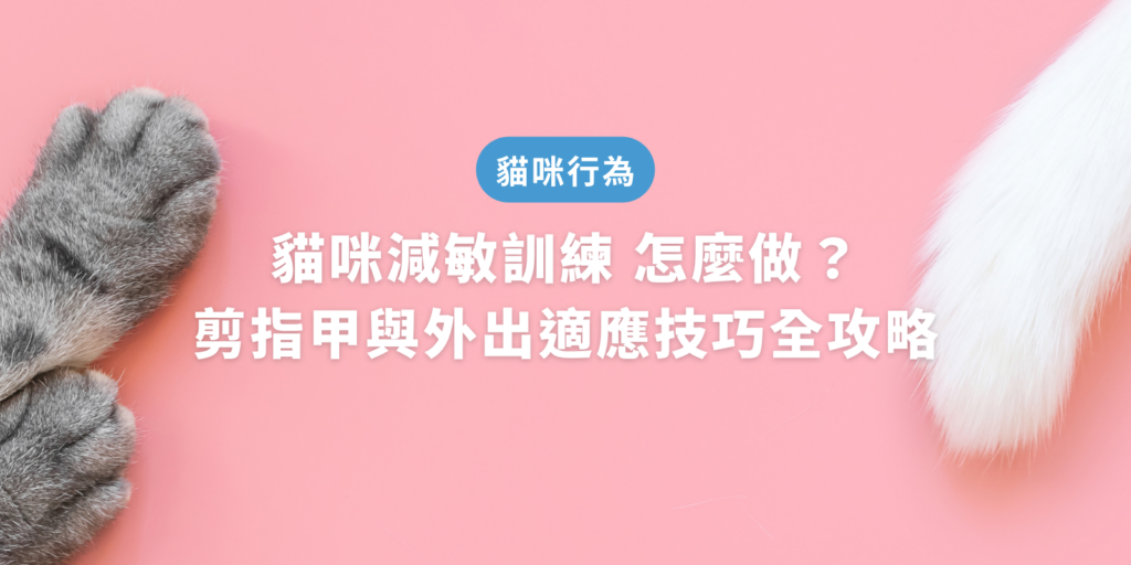 貓咪減敏訓練