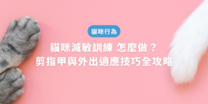 貓咪減敏訓練