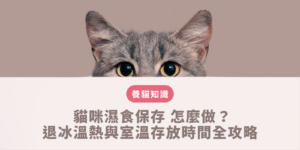 貓咪濕食保存