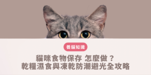 貓咪食物保存