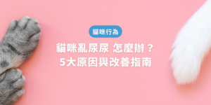 貓咪亂尿尿